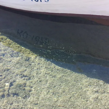 Lägenhet Castello *