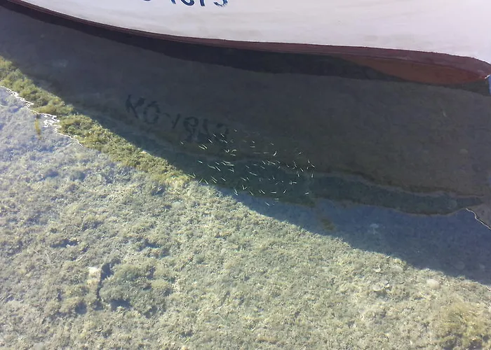 Apartamento Villa Castello Residence *